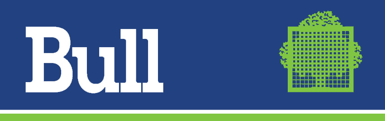 Logo Bull